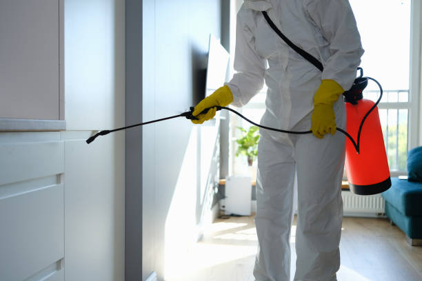 Best Attic Mold Remediation in Gardnertown, NY