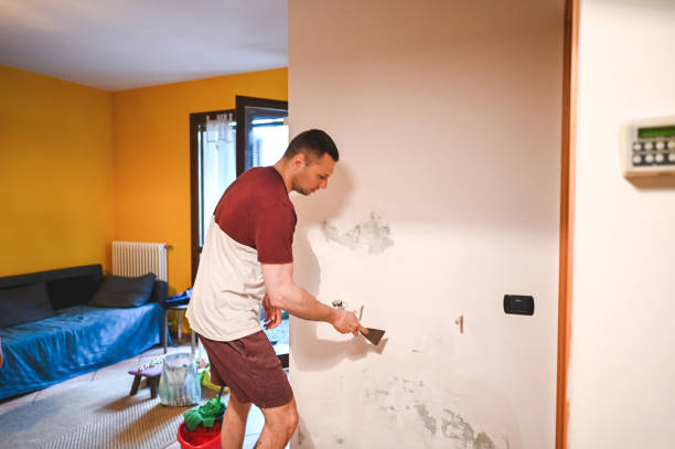 Best Mold Remediation for Schools in Gardnertown, NY